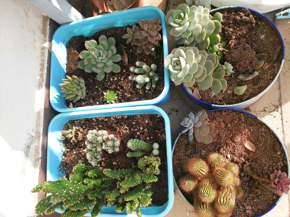 找一个大学生同桌,考不考研都可以╭(╯ε╰)╮